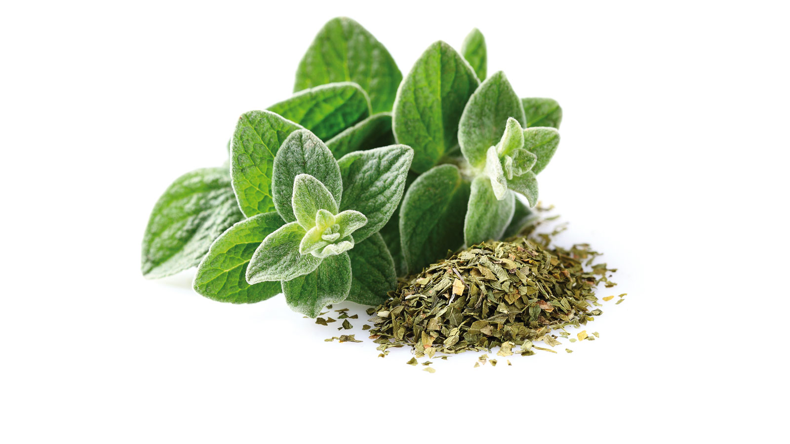 Oregano Hot&Spicy